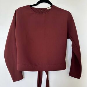 Aritzia Wilfred Laon Long Sleeve Blouse